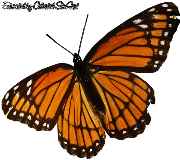 Right click to save this Nature render